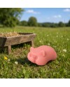 savon cochon