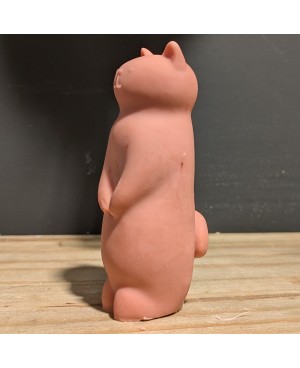 savon chat