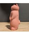 savon chat