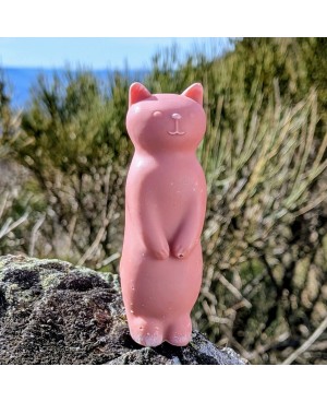 savon chat